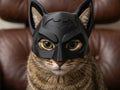 Máscara Batman para gatos impresa en 3D - accesorio cosplay mascota regalo original Chile